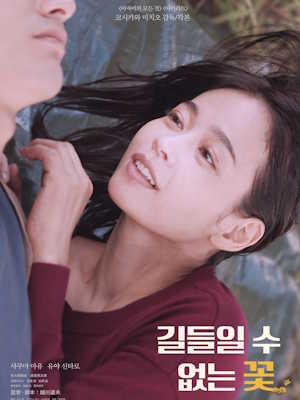 길들일 수 없는 꽃